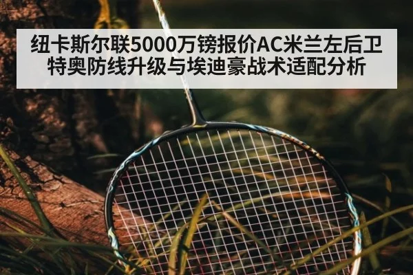 纽卡斯尔联5000万镑报价AC米兰左后卫特奥防线升级与埃迪豪战术适配分析